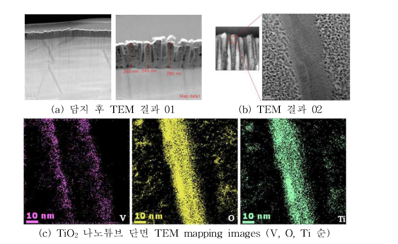 TiO2 나노튜브 표면상 담지 활성금속 확인을 위한 FE-TEM 분석