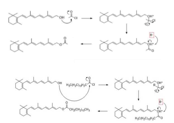 레티닐 아세테이트 (상단) 및 레티닐 팔미테이트(하단) 유도체화 메커니즘