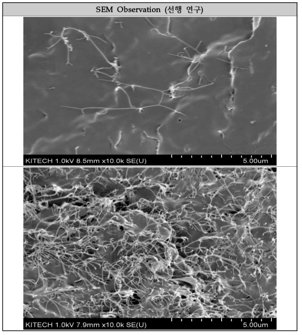 PP/CNT 복합소재 선행연구 내용 및 SEM 분석 사진