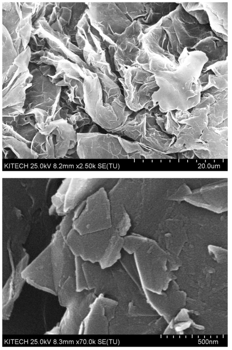 Graphene Nanoplatelets의 SEM 사진