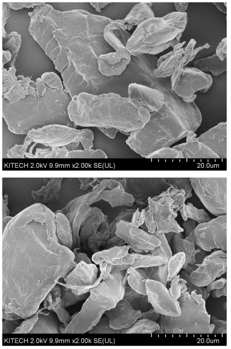 Cryo-grinding 한 PA6 파우더 SEM 사진