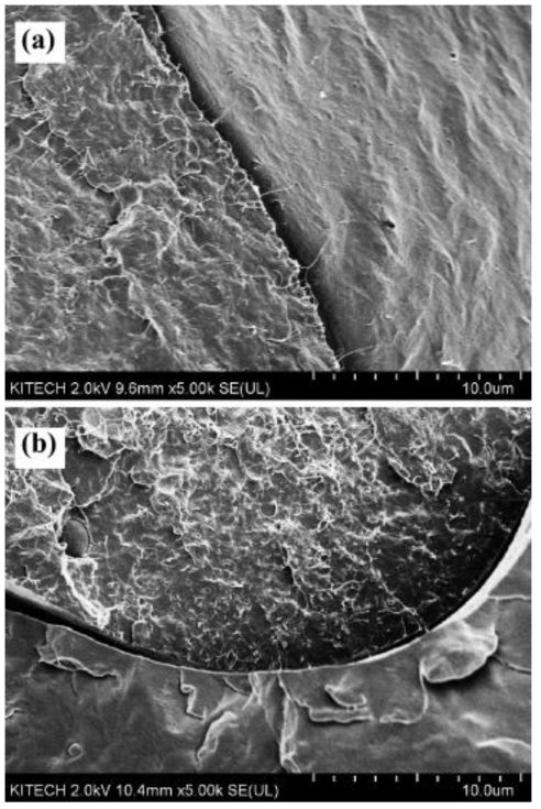(a) NPS2 와 (b) PNPS2 의 PP/PA6 간 계면의 SEM 사진
