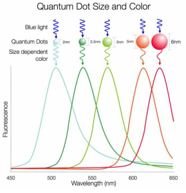 퀀텀닷 지름 크기에 따라 나타내는 빛깔이 달라짐