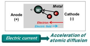 전류 인가에 의한 원자 확산거동의 가속화 현상