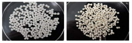 키토산 비드 및 가교 키토산 비드 사진