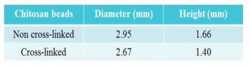 키토산 비드 및 가교 키토산 비드의 건조 후 직경, 높이 측정 결과