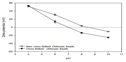 키토산 비드 및 가교 키토산 비드의 zeta-potential
