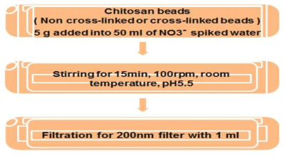 키토산 비드 및 가교 키토산 비드의 질산성질소 제거능 평가 실험