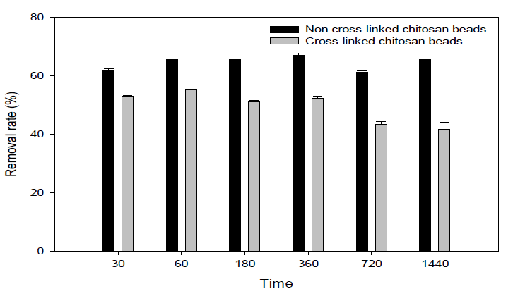 오염물질의 농도에 따른 키토산 비드과 가교 키토산 비드의 질산성질소 흡착률 확인