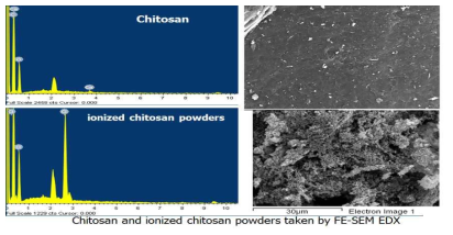 이온화 키토산과 키토산의 FE-SEM EDX 분석 사진