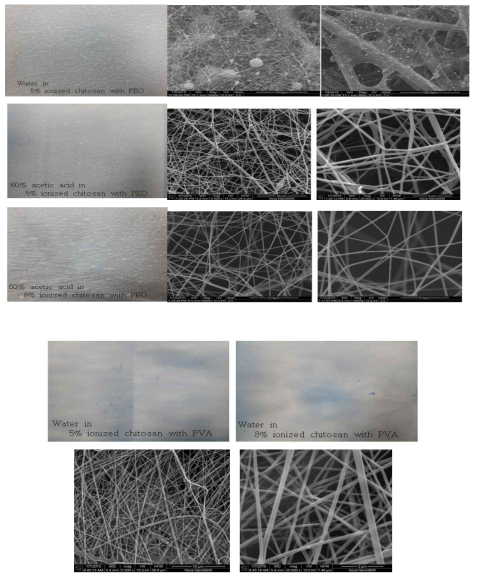 이온화 키토산을 이용한 전기방사 및 SEM 사진