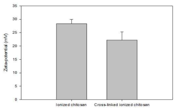 가교 이온화 키토산 zeta-potential