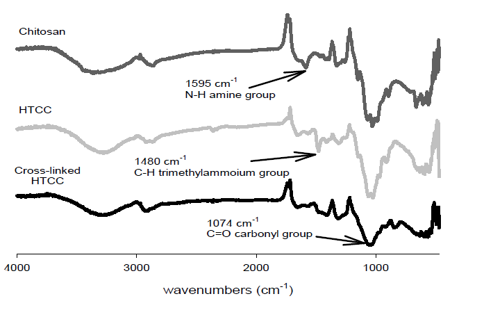 가교 이온화 키토산의 FT-IR 결과