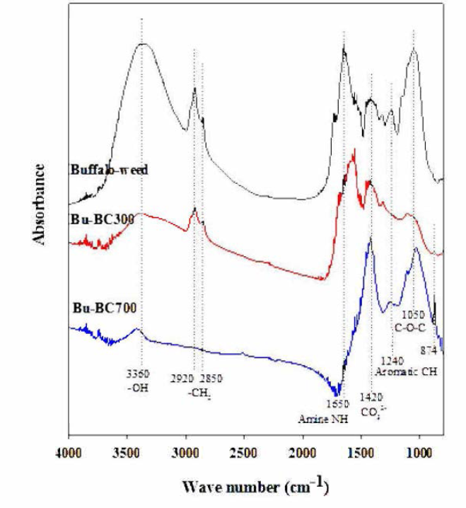 Buffalo-weed, Bu-BC300 및 Bu-BC700의 FT-IR spectrum