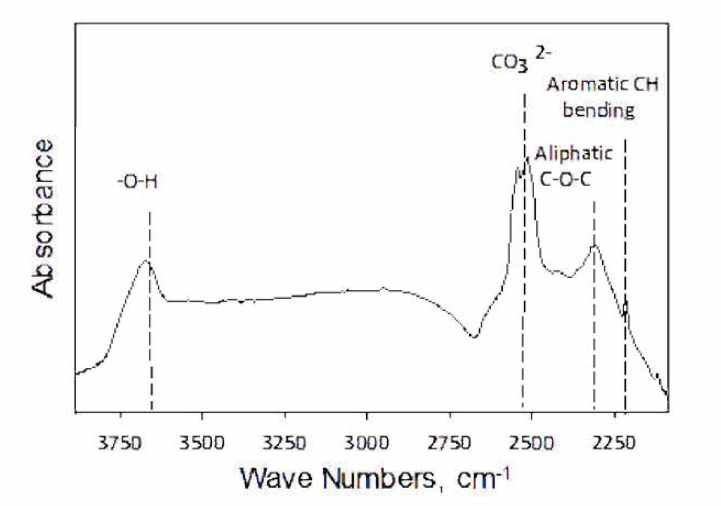 가시박으로 생산한 Black carbon의 FT-IR spectrum