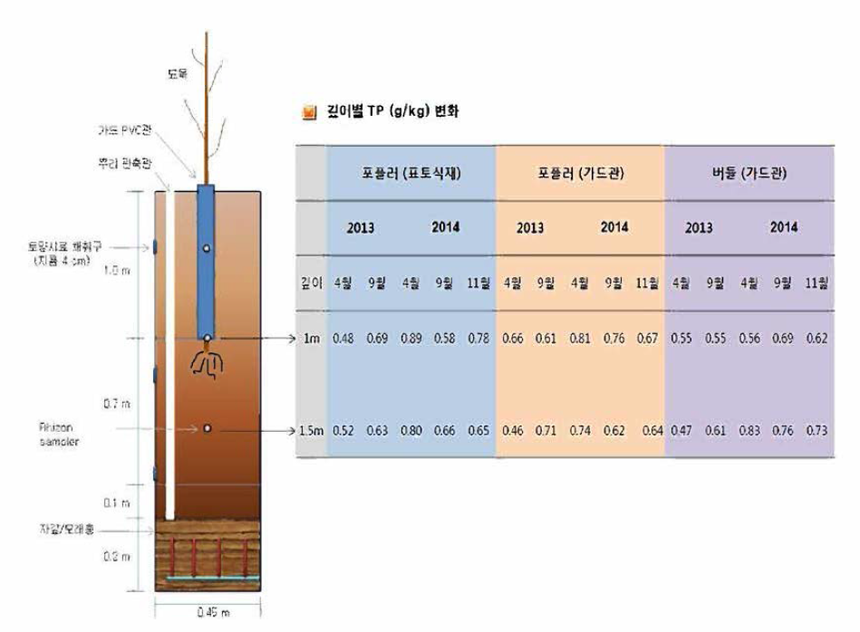 식재칼럼 깊이별 인 농도 변화