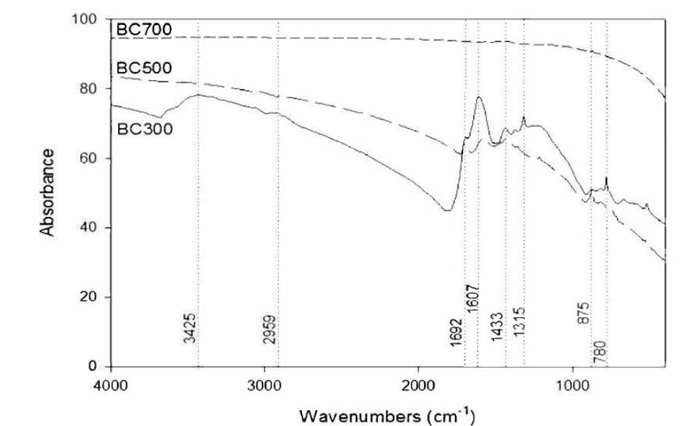 느티나무 black carbon(BC)의 FT-IR 분석결과