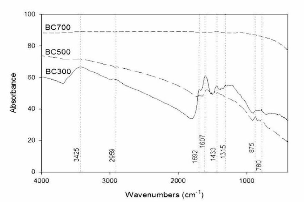 버즘나무 black carbon(BC )의 FT-IR 분석결과