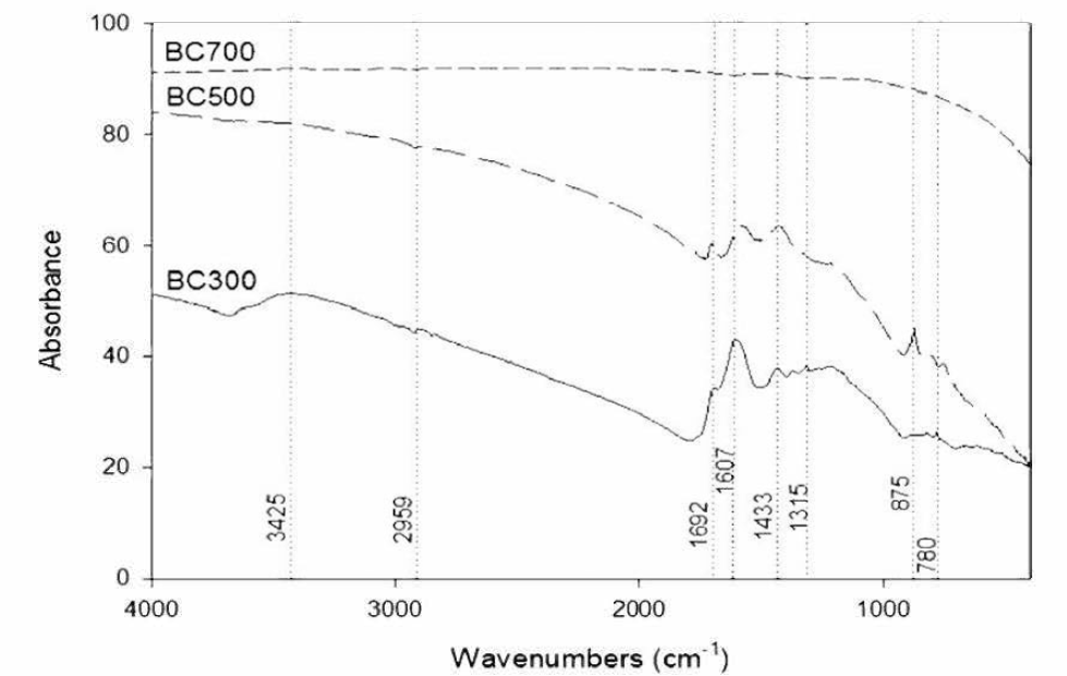 자작나무 black carbon(BC)의 FT-IR 분석결과