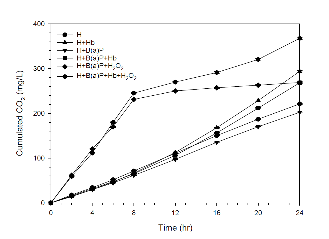 생촉매 반응 24시간 동안 누적 이산화탄소 발생량.