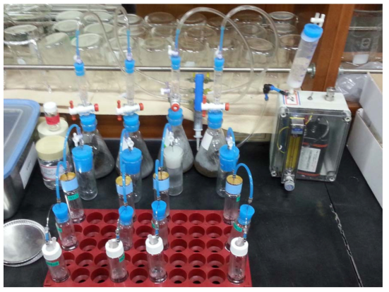 생촉매 반응과 생분해 반응을 위한 실험실 규모 Micro reactor 시스템.