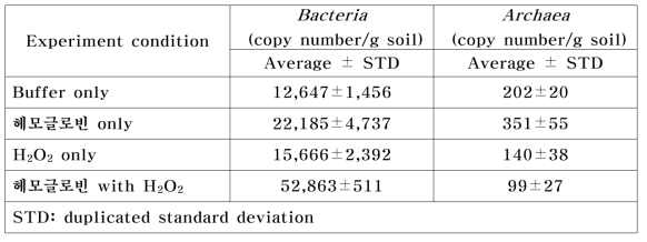 Micro reactor 시스템을 이용한 생촉매 생분해 반응 후 Real time PCR을 이용한16S rRNA gene copy nuber