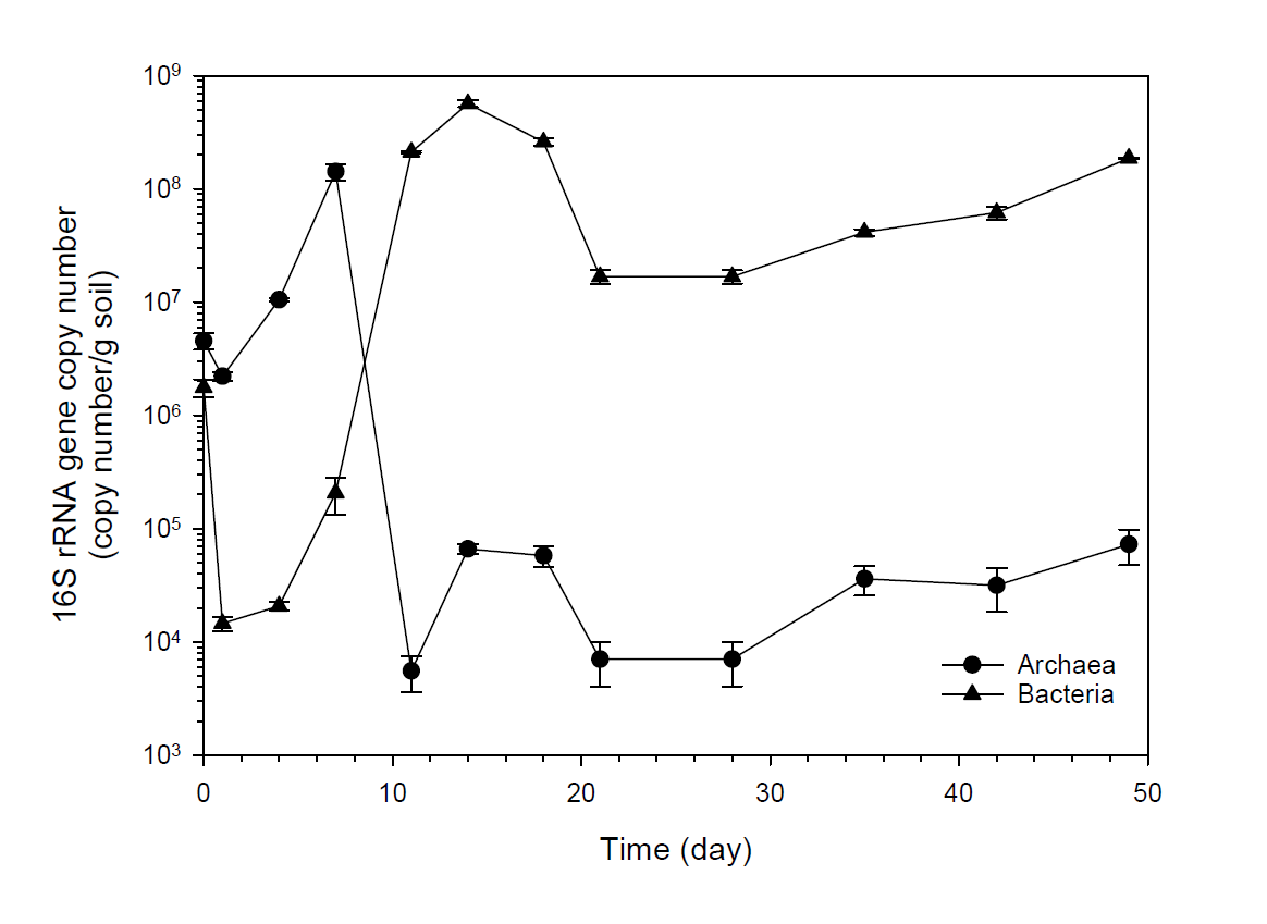 생촉매/생분해 융합 pilot 시스템을 이용한 B 폐침목 보관지역 오염토양 bacterial and archaeal 16S rRNA copy number