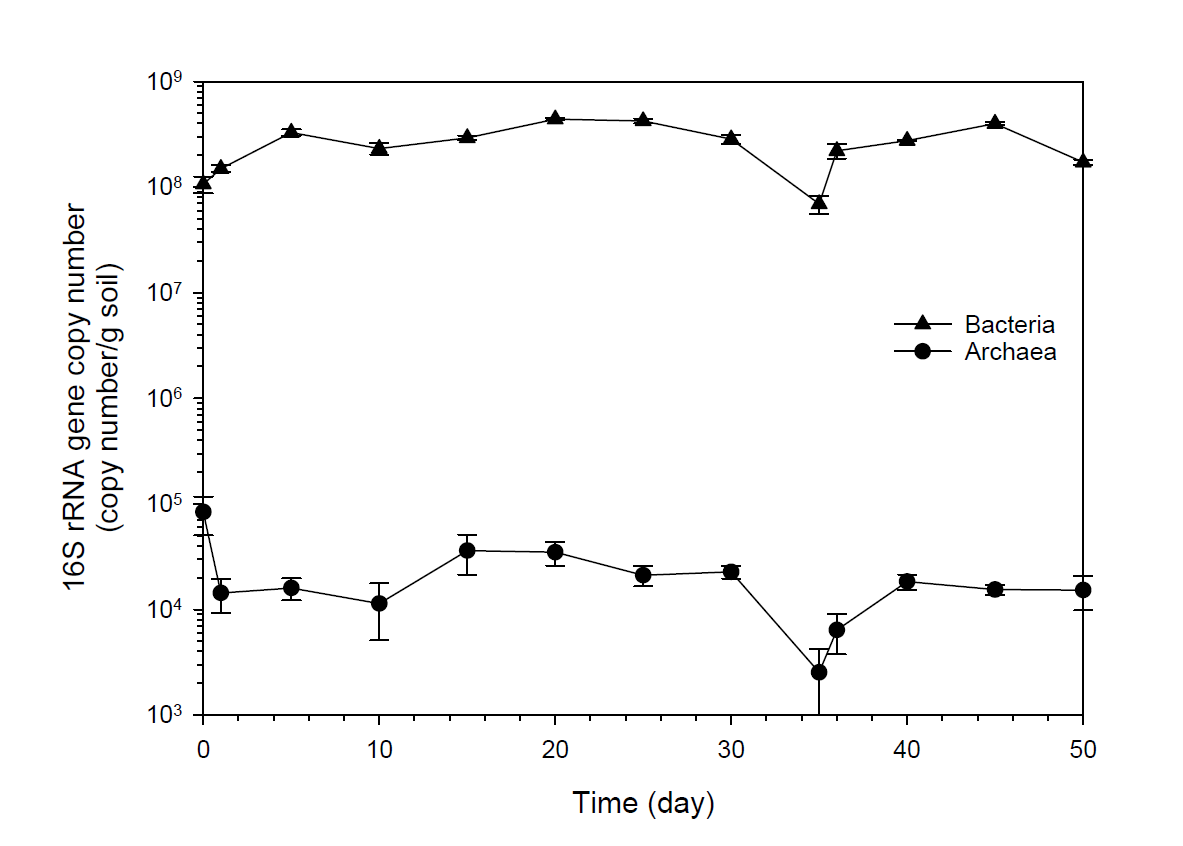 생촉매/생분해 융합 pilot 시스템을 이용한 B 폐침목 보관지역 오염토양 bacterial and archaeal 16S rRNA copy number