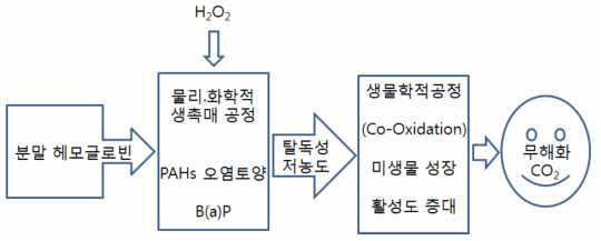 오염 토양의 헤모글로빈 생촉매 공정 생물학적 동시산화 복원 공정.