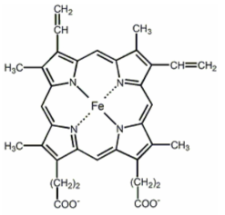 헴(heme) 구조.