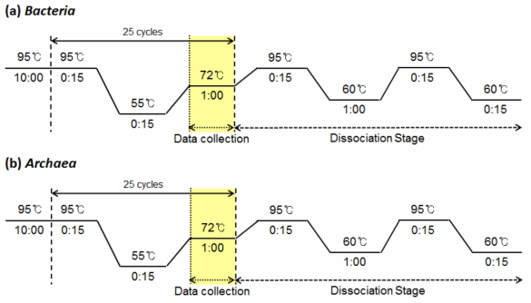 세균과 아케아의 16S rRNA 유전자를 정량하기 위한 real time PCR 조건.