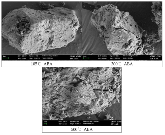 제조방법에 따른 ABA의 Fe-SEM 분석결과