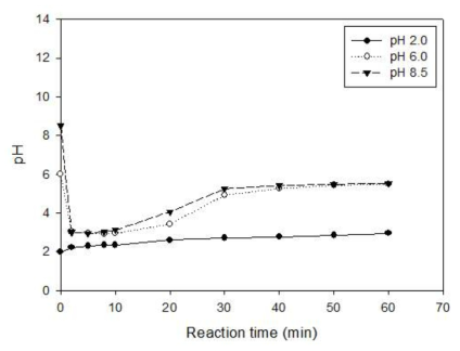 pH에 따른 persulfate/영가철 활성화법의 pH 변화