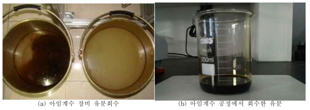 해외 실증화 실험의 아임계수 정화시스템 처리 후 회수유분