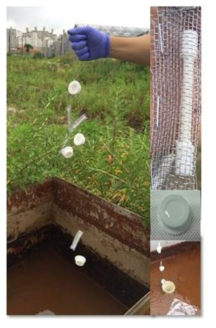 Deployment of passive samplers to groundwater monitoring well