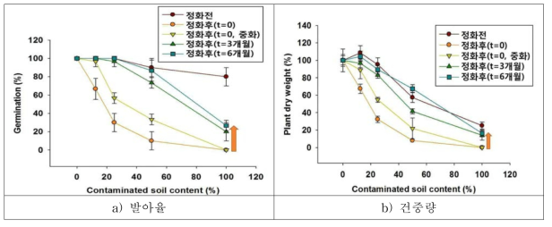 정화토양의 모니터링결과(6개월)-토마토