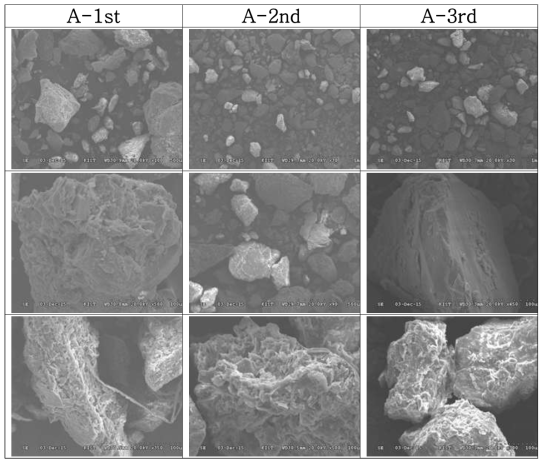 TPH 오염토양 A의 시기별 SEM 관찰