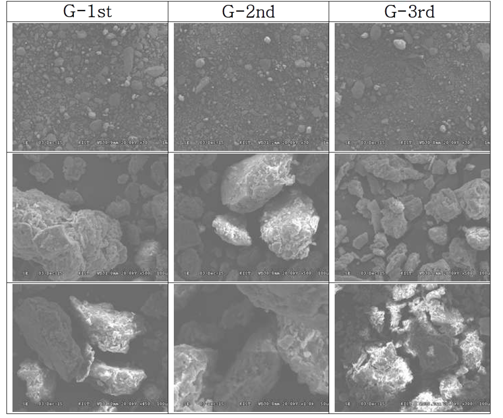 TPH 오염토양 G의 시기별 SEM 관찰