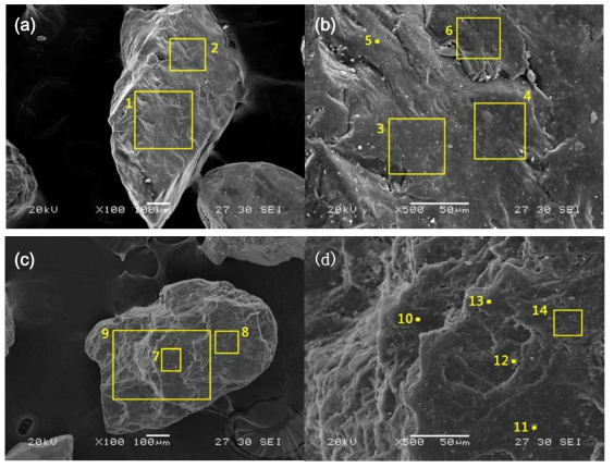 주문진 표준사의 SEM image. (a)와 (c), 100배율; (b)와 (d), 500배율