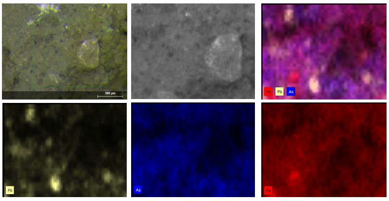 μ-XRF mapping of SCH soil