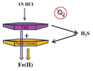 Schematic diagram of reduction of Fe(III) hydroxides by sulfides produced during acid extraction