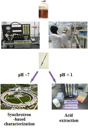 Experimental procedure for Fe(II) determination using XAFS and acid extraction