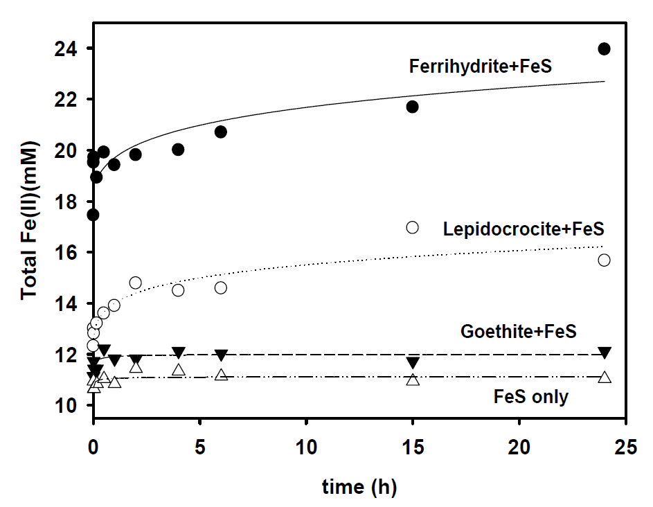 Kinetics of total Fe(II) production following the addition of an equal volume of 1 M HCl to the incubations containing two-line ferrihydrite, goethite, or lepidocrocite and ferrous sulfide (mackinawite).