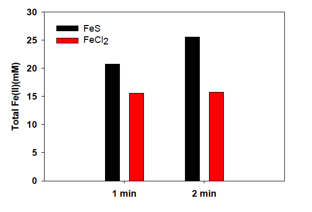 Total Fe(II) production by the addition of an equal volume of 1 M HCl to the incubations with two-line ferrihydrite and ferrous sulfide (mackinawite) or ferrous chloride (FeCl2).