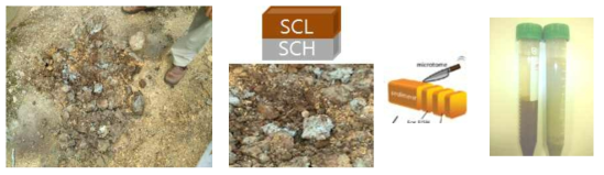 Photos of contaminated soils with high and low concentrations of toxic metals and sampling methods for various analysis