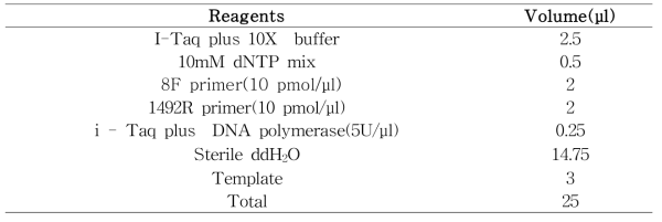 Composition of PCR mix