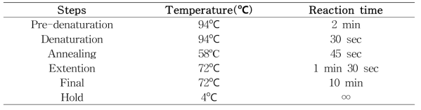 PCR Conditions