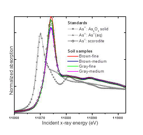 As K-edge XANES data from the soil samples compared to As(III) and As(V) standards, showing the predominance of As(V) in the samples