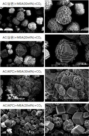 SEM images of CaCO3