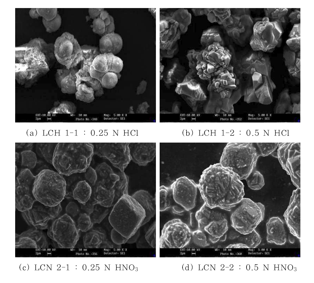 SEM images of CaCO3